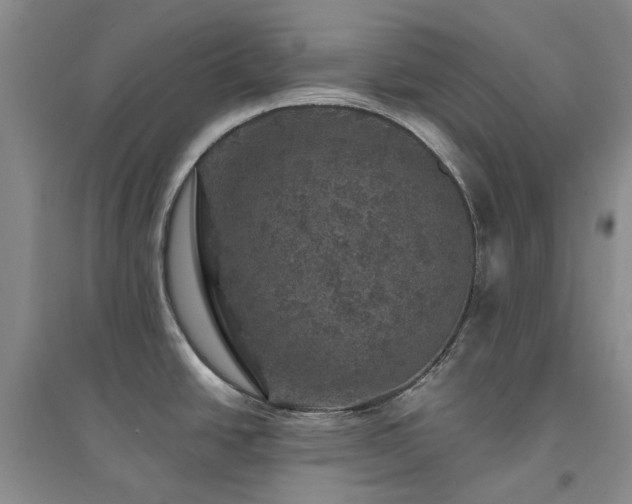 X0000094441438200711151354