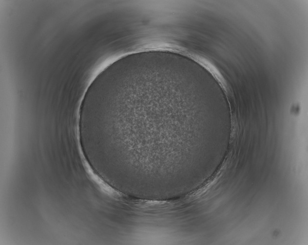 X0000094441439200711151354