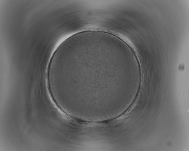 X0000094441440200711151355