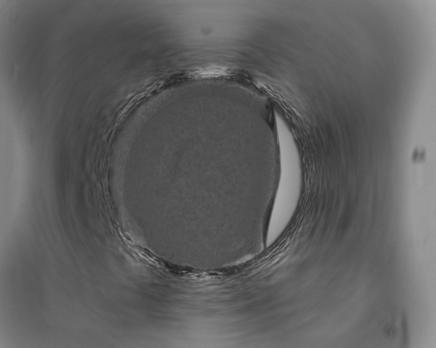 X0000094441441200711151354
