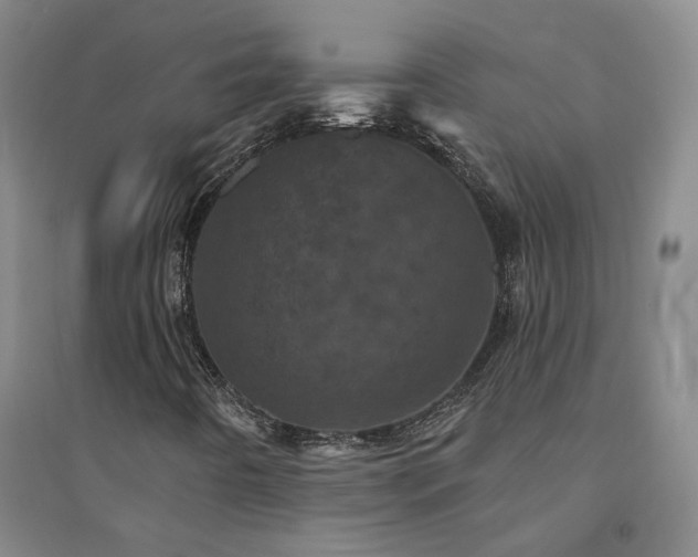 X0000094441442200711151354