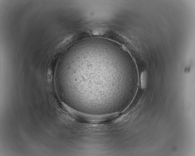 X0000094441443200711151354