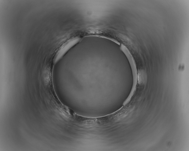 X0000094441444200711151354