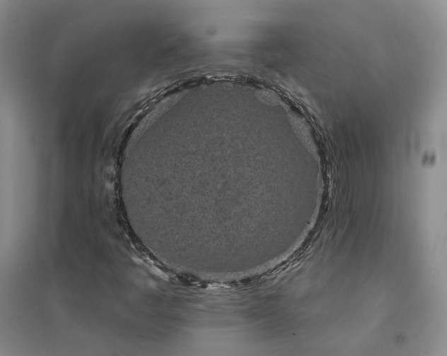 X0000094441445200711151354