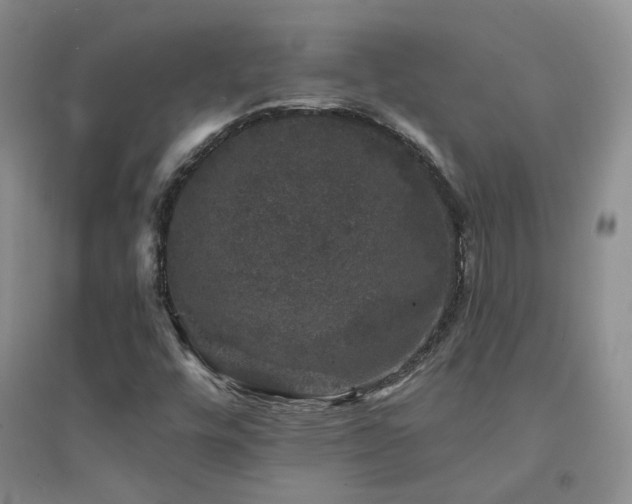 X0000094441448200711151354
