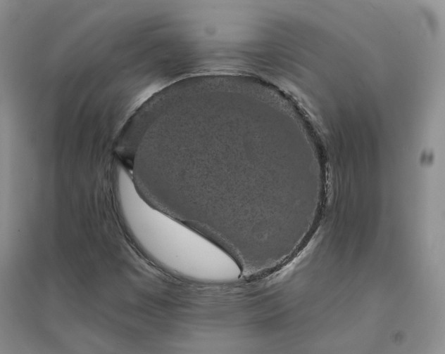 X0000094441449200711151354