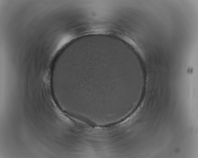 X0000094441450200711151354