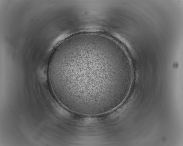 X0000094441451200711151354