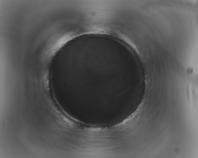 X0000094441455200711151354