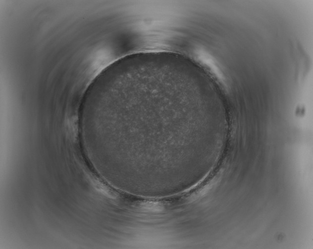 X0000094441457200711151354
