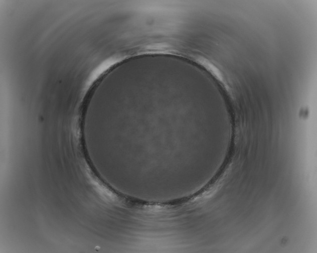 X0000094441458200711151354
