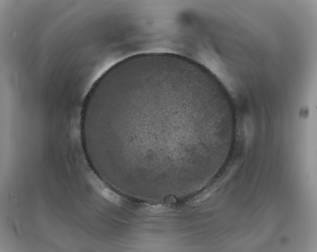 X0000094441460200711151354