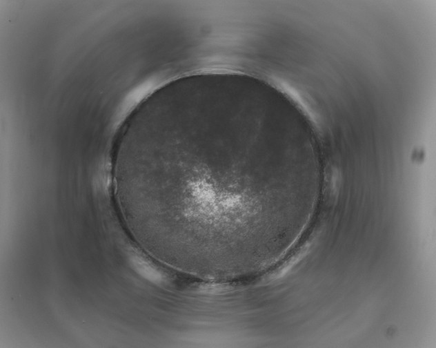 X0000094441461200711151354