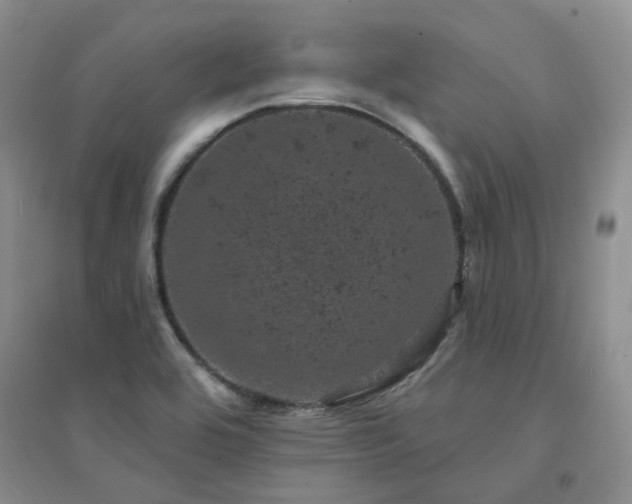 X0000094441464200711151354