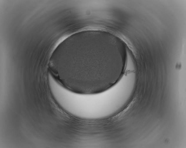 X0000094441465200711151354