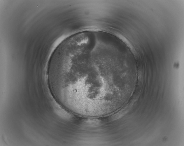 X0000094441466200711151353