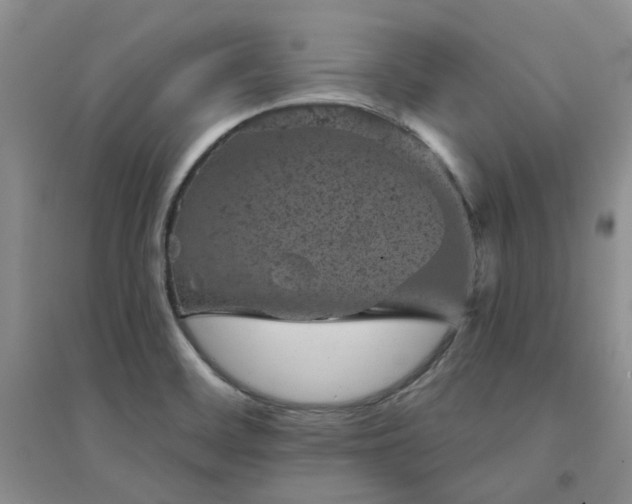 X0000094441468200711151353