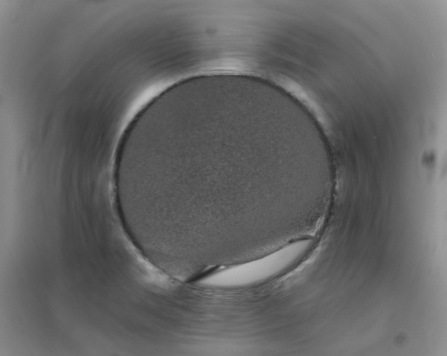 X0000094441469200711151353
