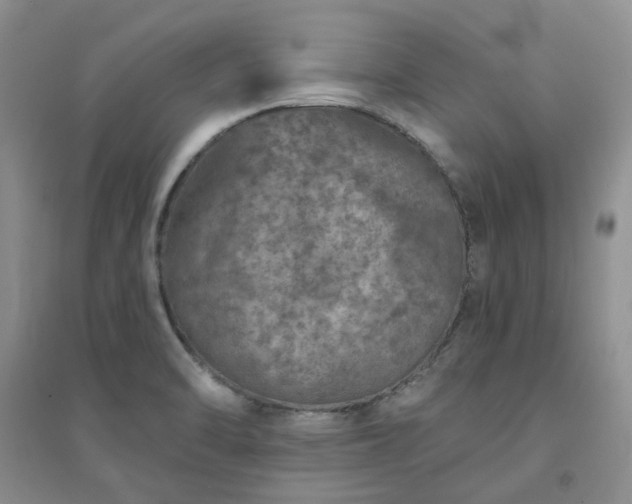 X0000094441470200711151353