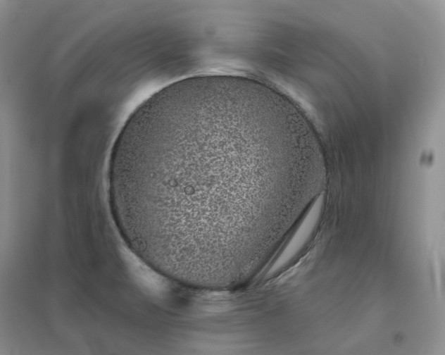 X0000094441471200711151353