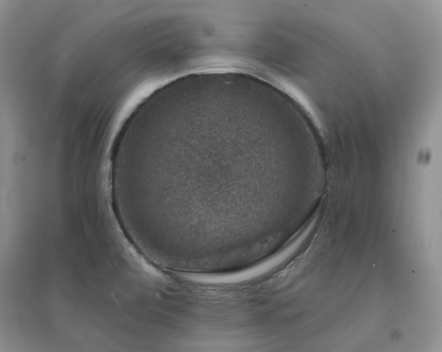 X0000094441472200711151353