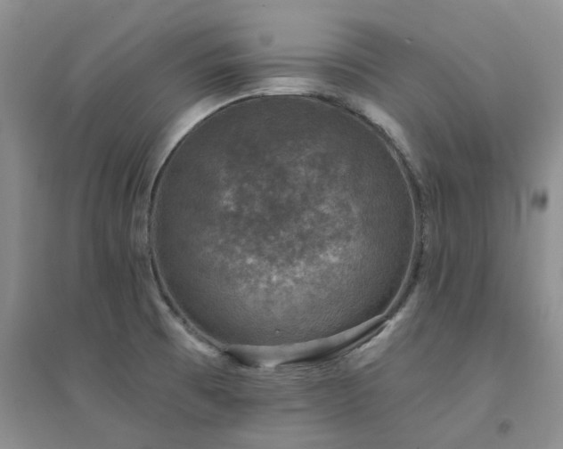 X0000094441473200711151353