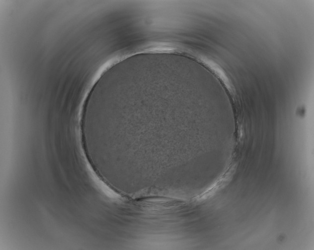 X0000094441475200711151353