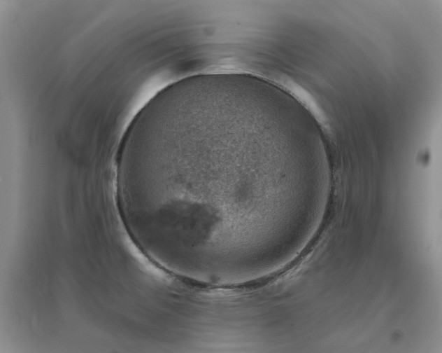 X0000094441476200711151353