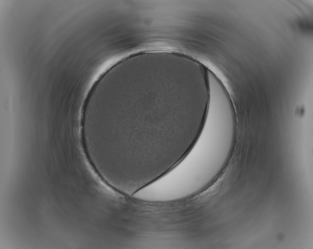 X0000094441477200711151353