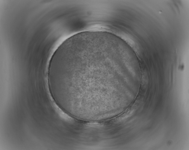 X0000094441478200711151353