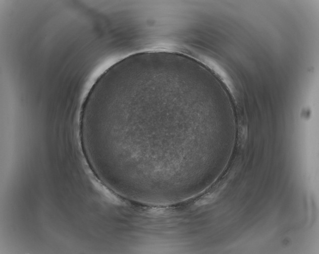 X0000094441480200711151353
