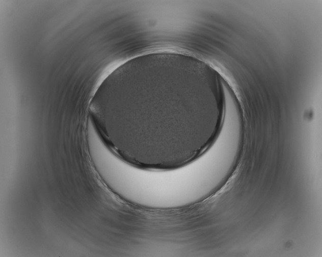 X0000094441481200711151353