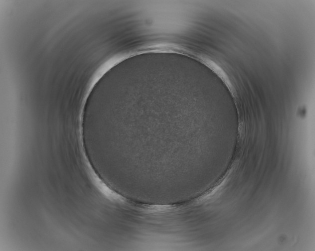 X0000094441482200711151353