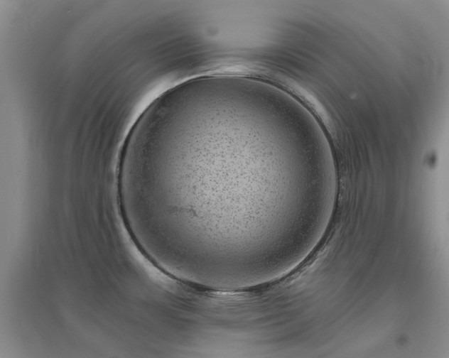 X0000094441483200711151353
