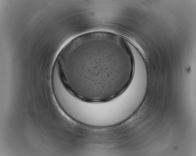 X0000094441484200711151353