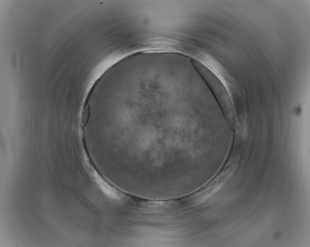 X0000094441485200711151353