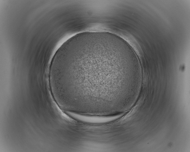 X0000094441486200711151353