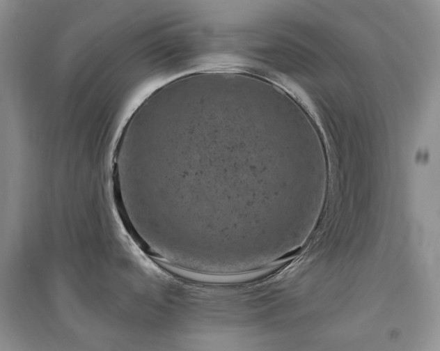 X0000094441488200711151353