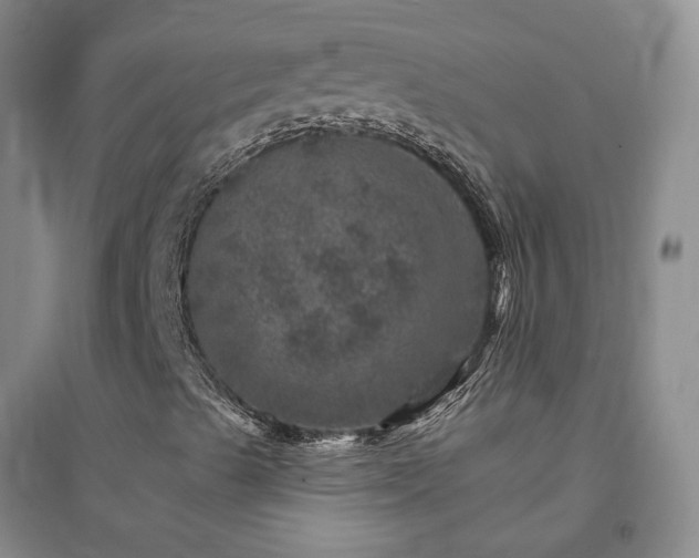X0000094441489200711151352