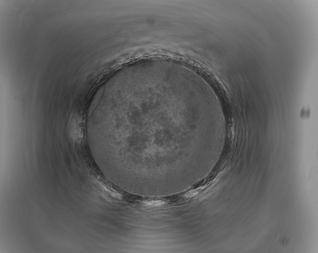 X0000094441490200711151352