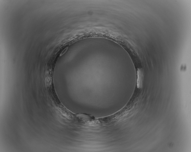 X0000094441491200711151352