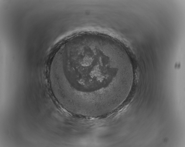 X0000094441494200711151352