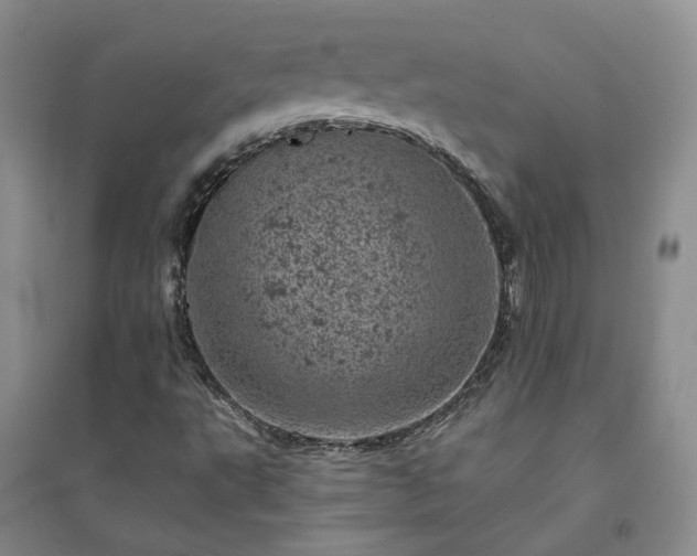 X0000094441495200711151352