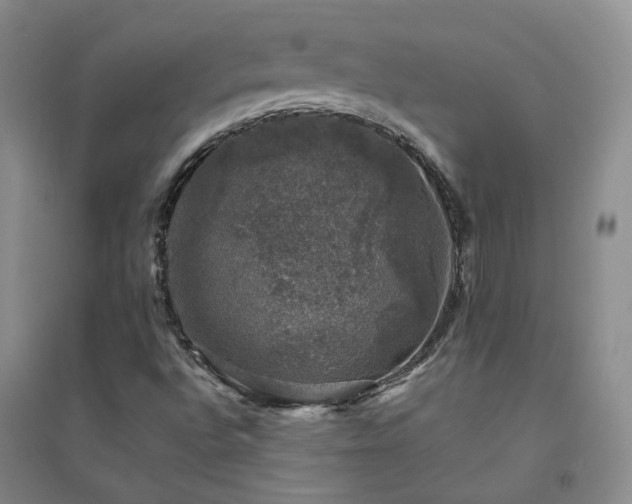 X0000094441496200711151352