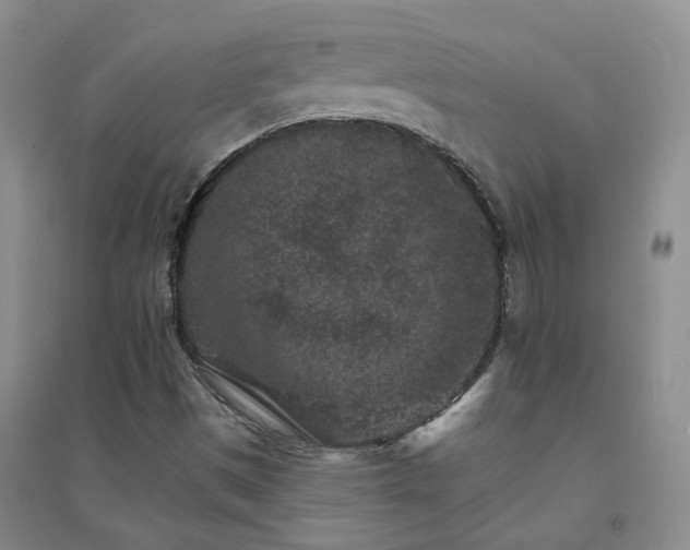 X0000094441497200711151352