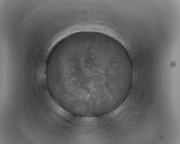X0000094441498200711151352