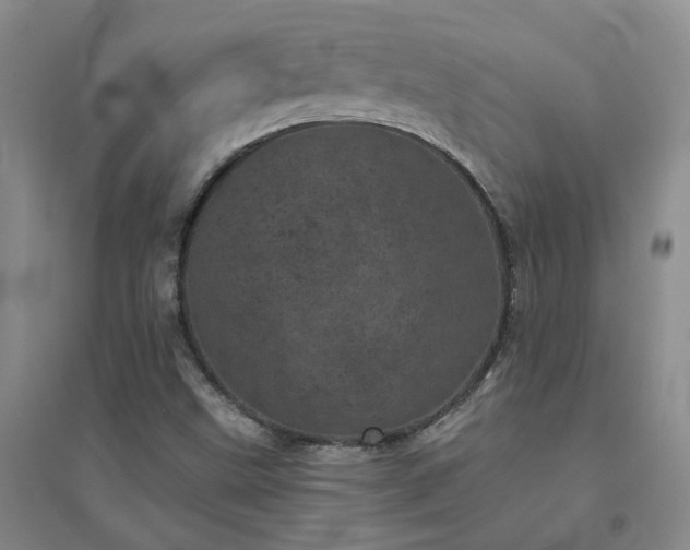 X0000094441499200711151352