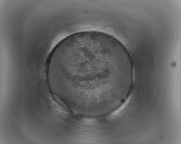X0000094441501200711151353