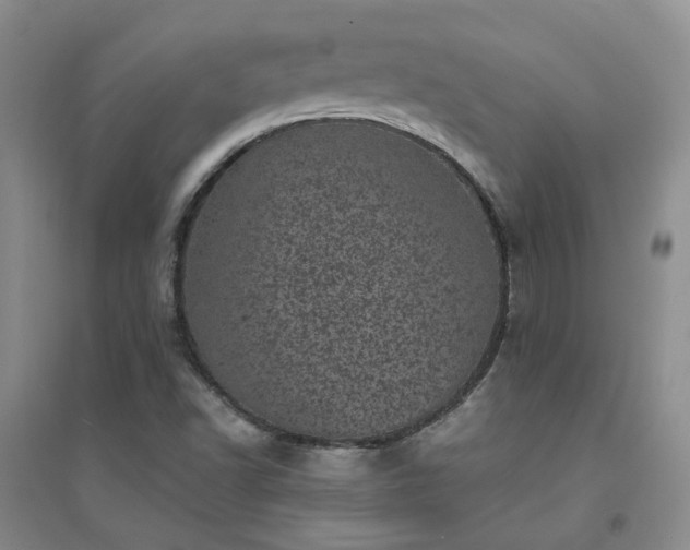 X0000094441502200711151353