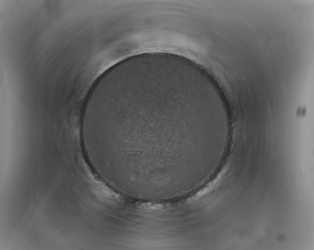 X0000094441505200711151353